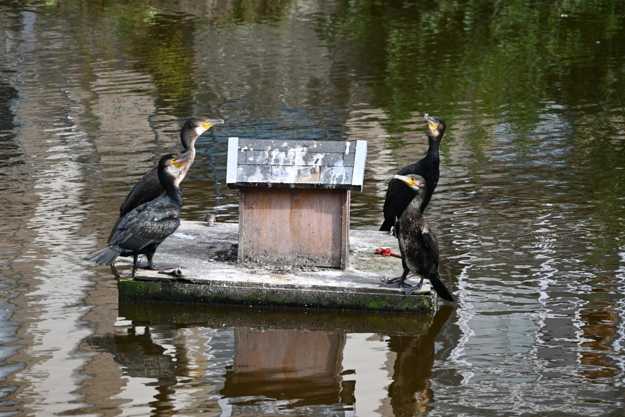 Jardin Madeleine